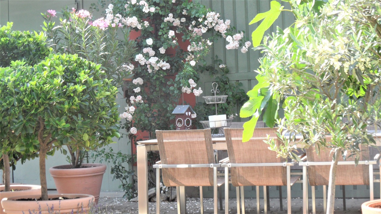 Photo of Outdoor in Nordheim a. Main