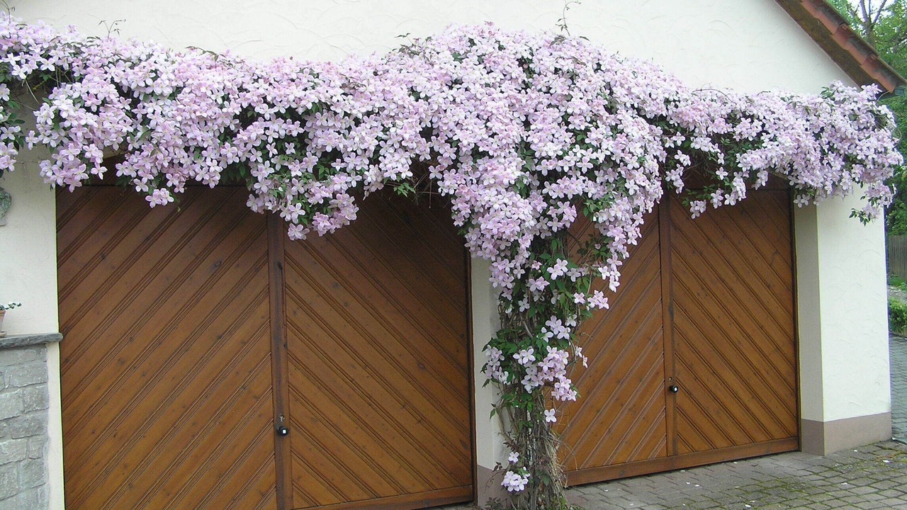 Photo of Outdoor in Ochsenfurt