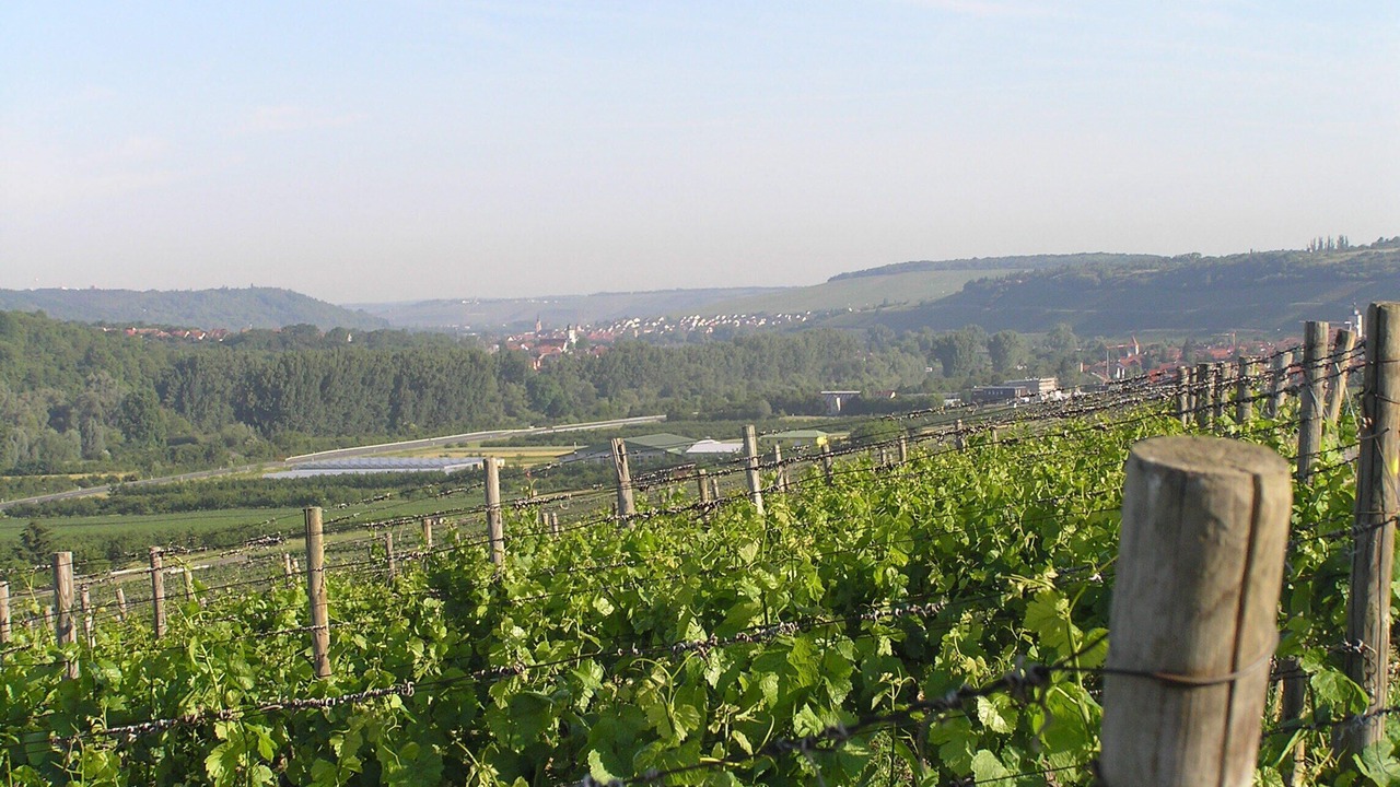Photo of Others in Ochsenfurt