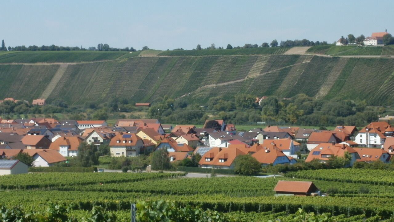 Photo of Outdoor in Nordheim a. Main