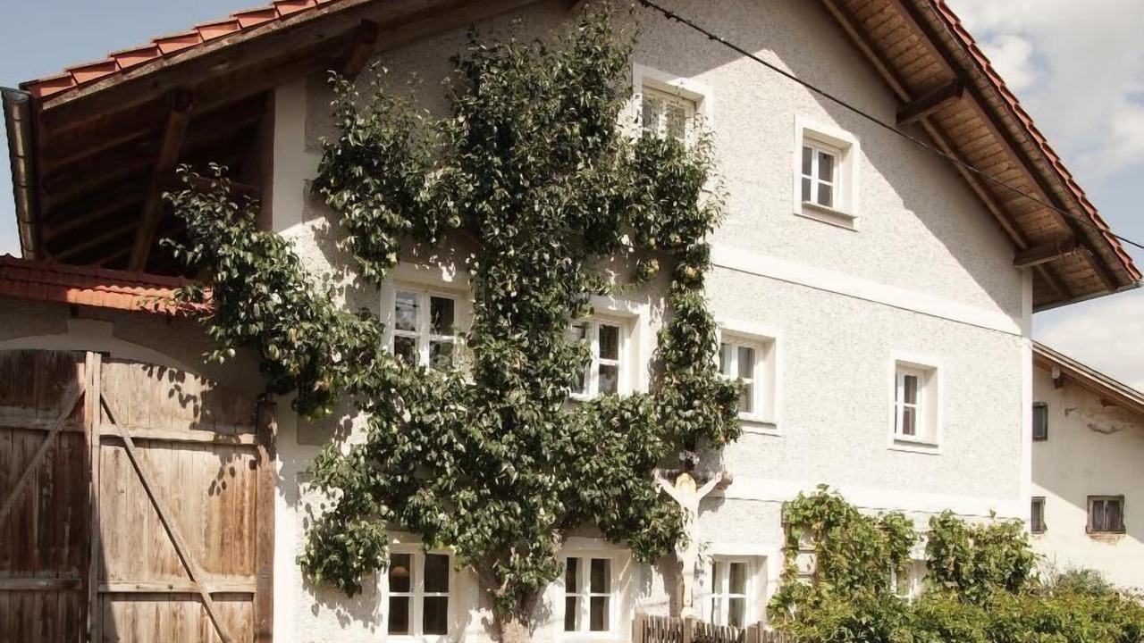 Photo of Outdoor in Grafenau