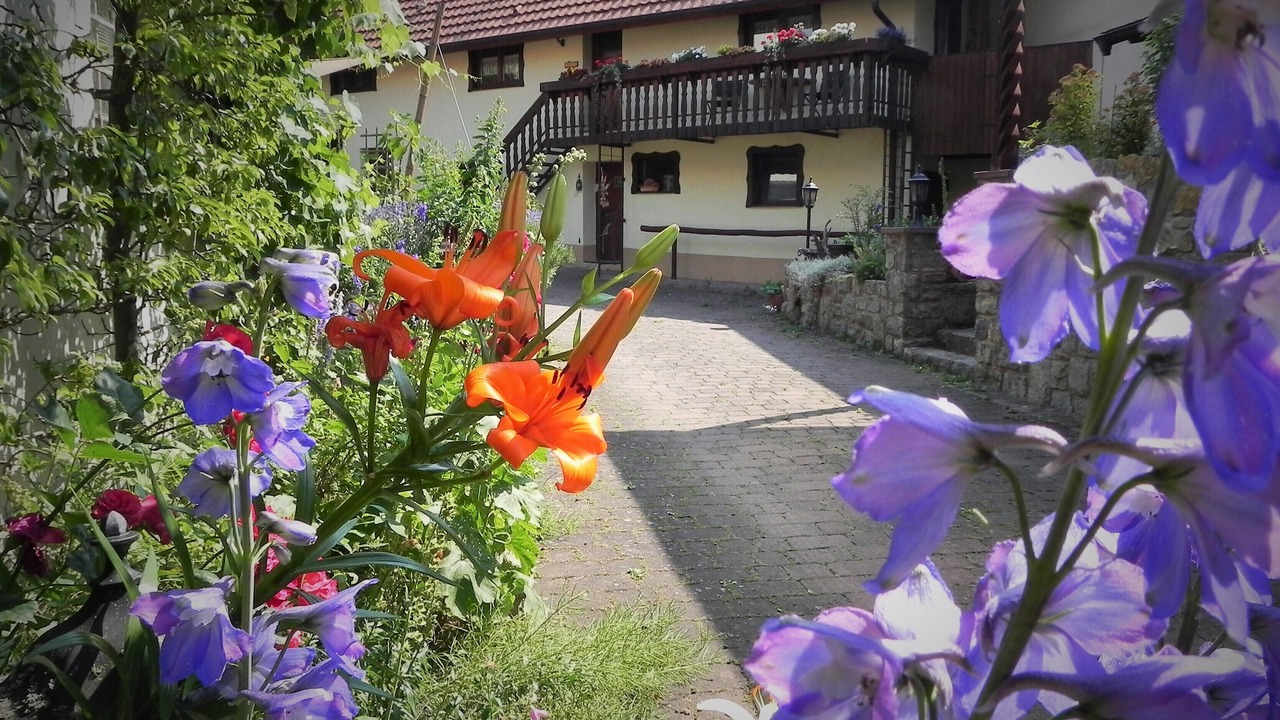 Photo of Outdoor in Eussenheim