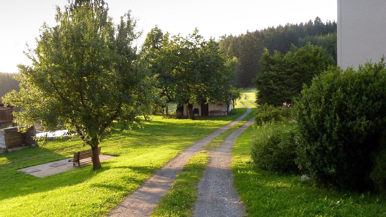 Photo of Outdoor in Stammbach