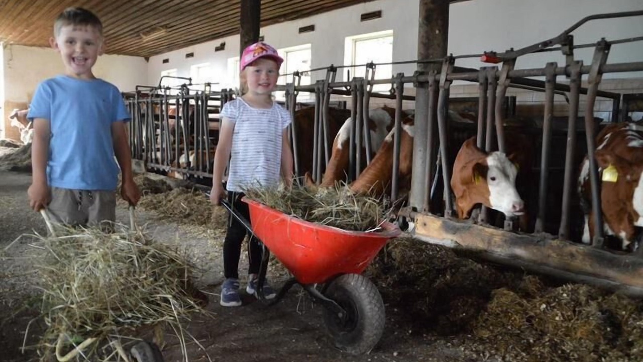 Photo of Others in Stadlern