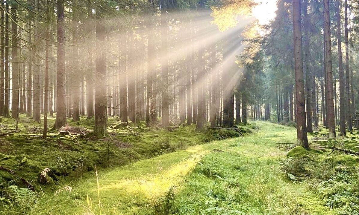 Photo of Outdoor in Langenbach