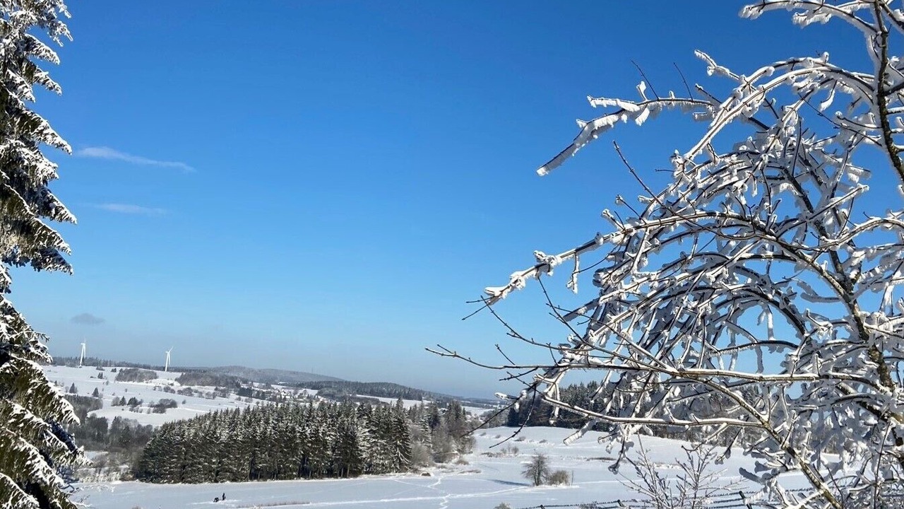 Photo of Others in Langenbach