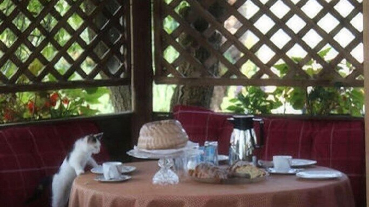 Photo of Outdoor in Arrach