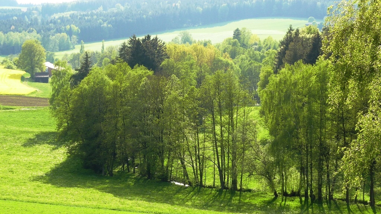 Photo of Outdoor in Stammbach