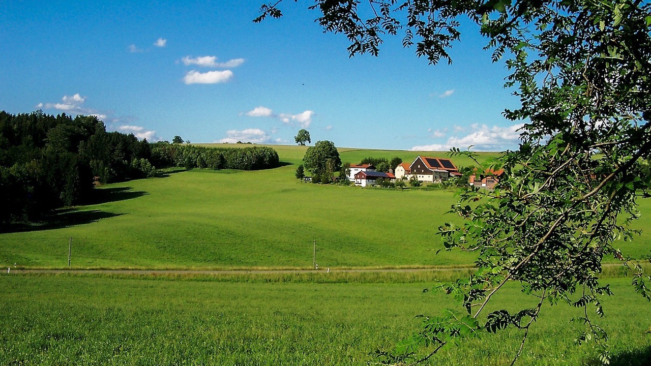 Photo of Others in Stammbach