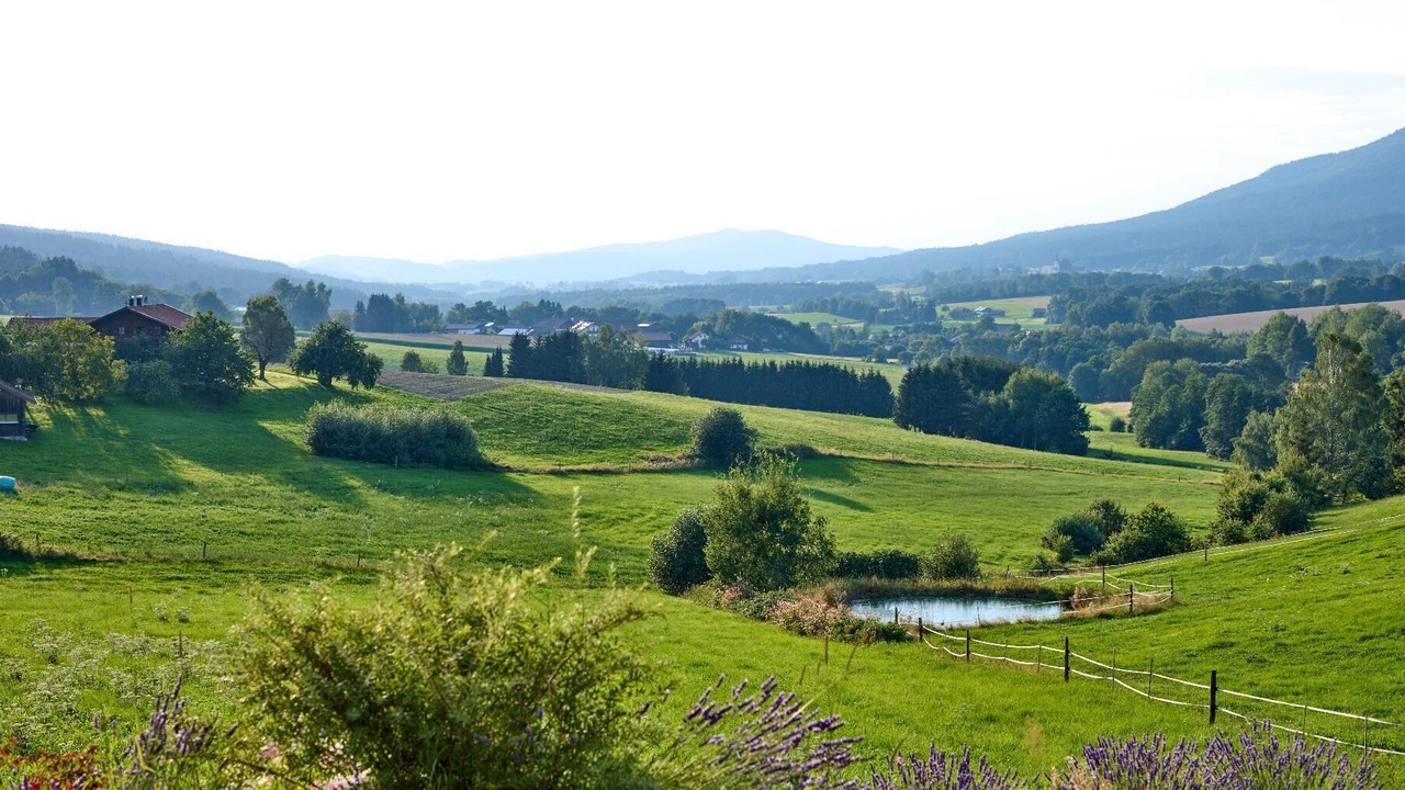 Photo of Others in Arnbruck