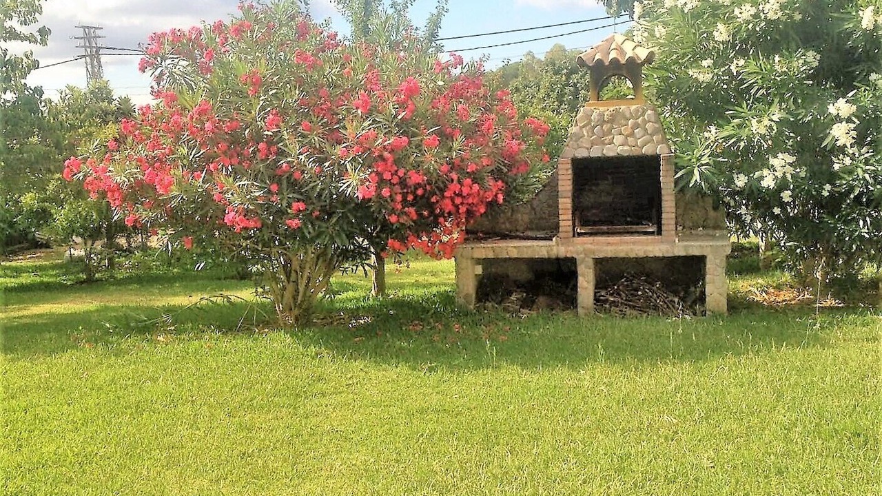 Photo of Outdoor in Barbate