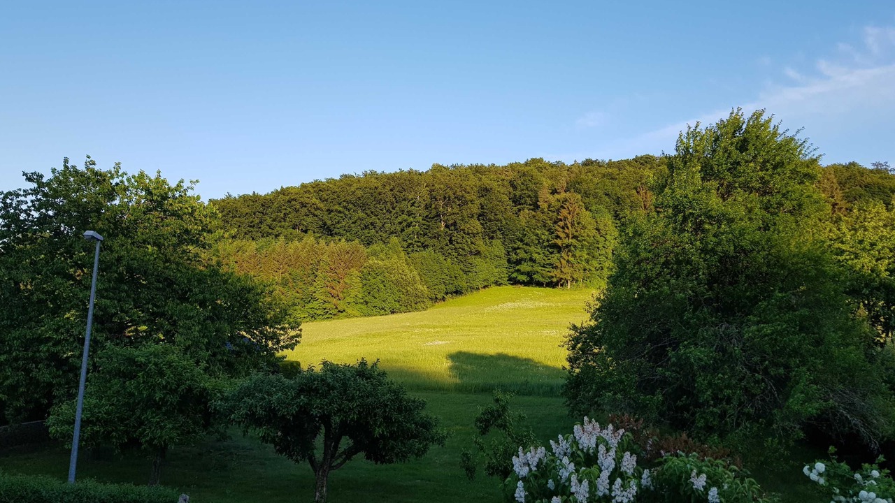 Photo of Others in Ebermannstadt