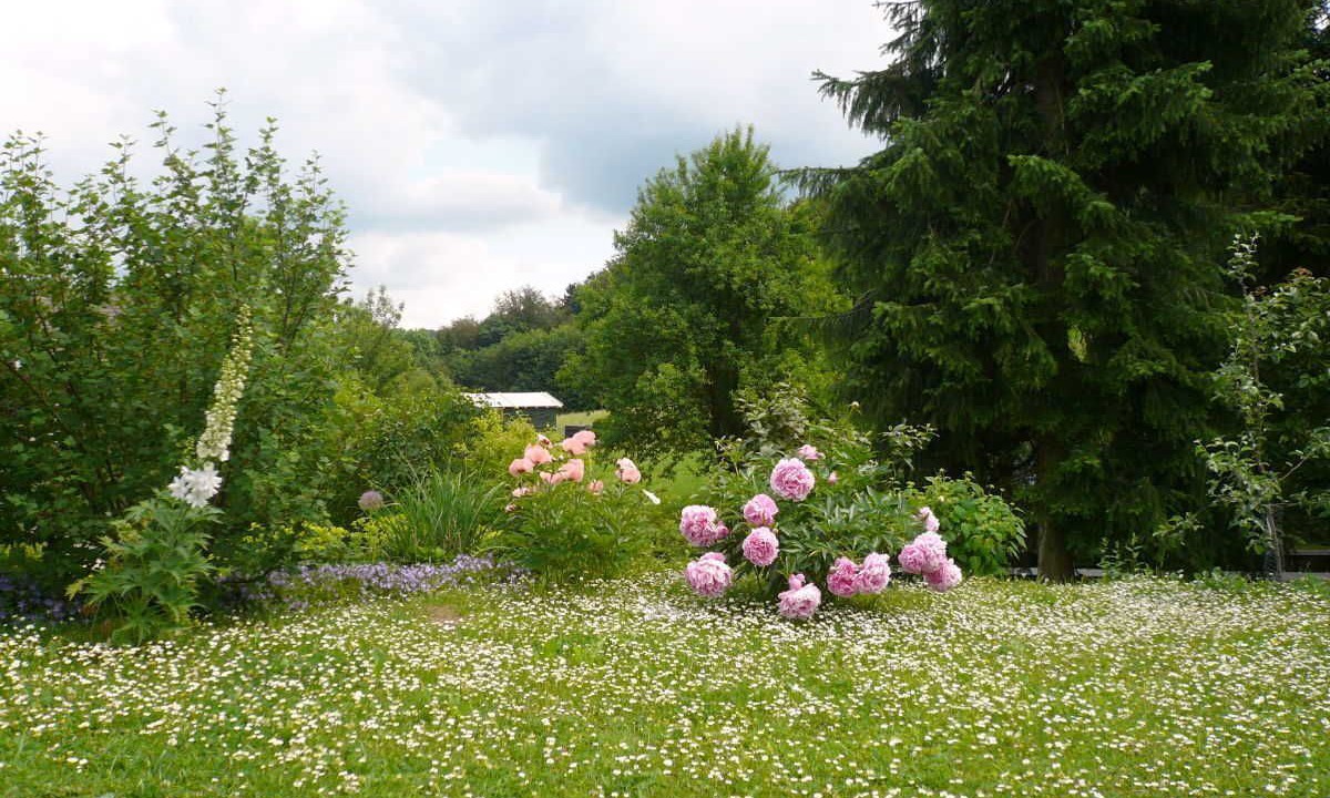 Photo of Outdoor in Ebermannstadt