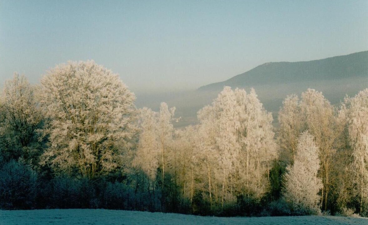 Photo of Others in Arnbruck