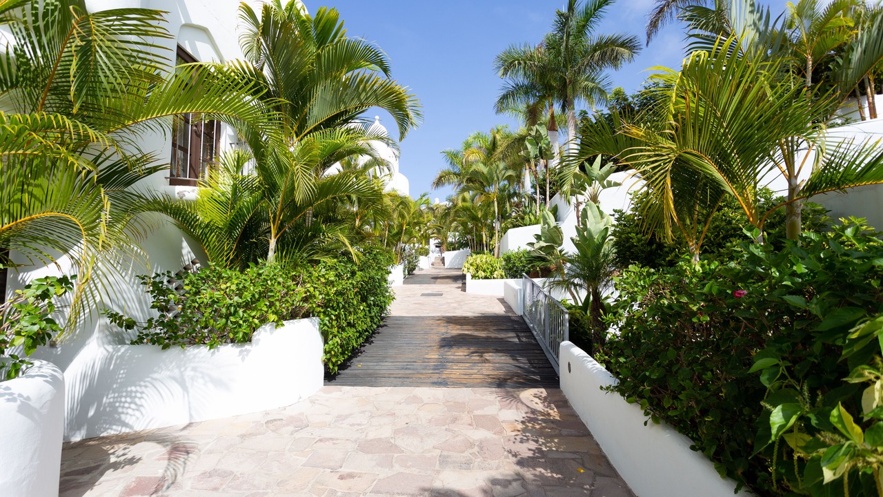 Photo of Outdoor in Playa Paraiso