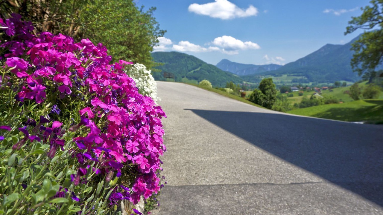 Photo of Outdoor in Ruhpolding