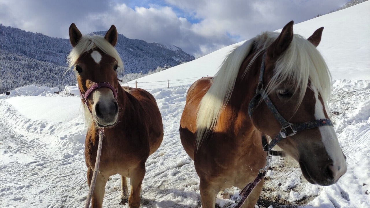 Photo of Others in Ruhpolding