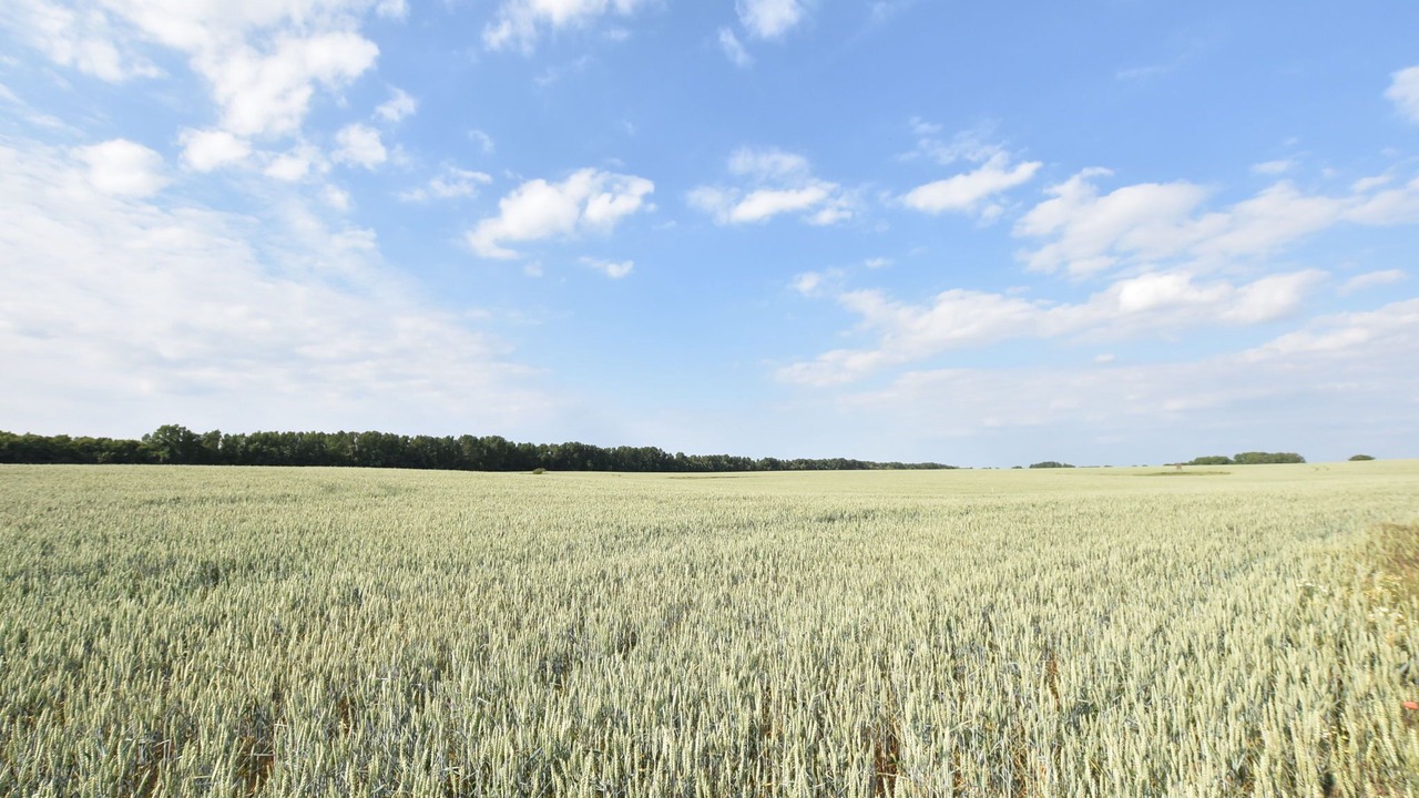 Photo of Others in Russow