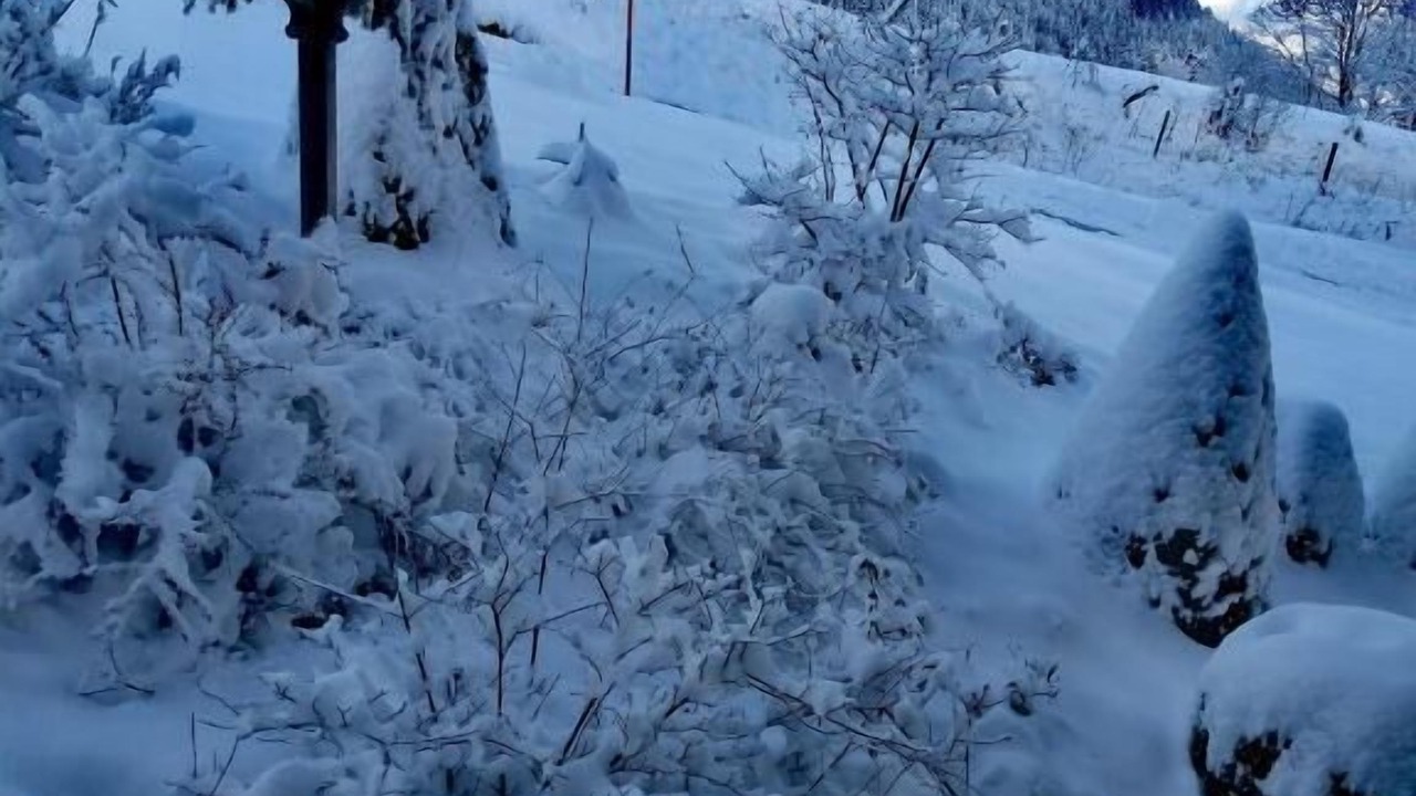 Photo of Outdoor in Berchtesgaden