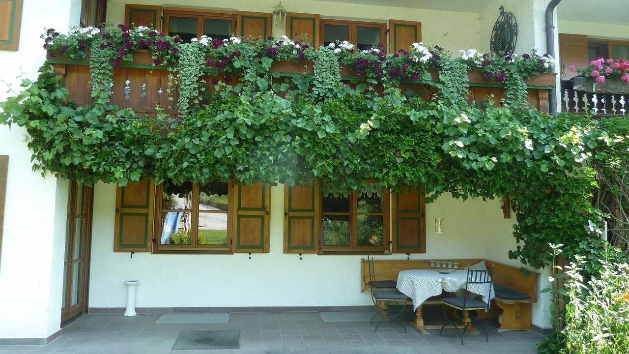 Photo of Outdoor in Samerberg