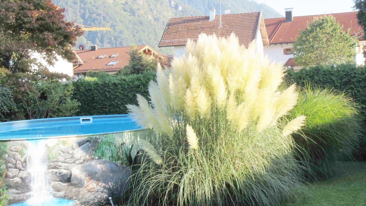 Photo of Outdoor in Reifing