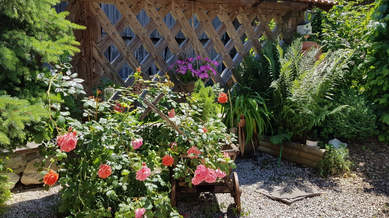 Photo of Outdoor in Uebersee