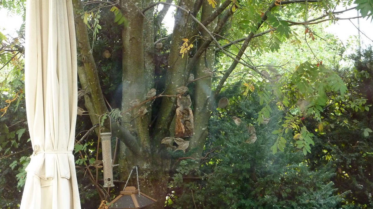 Photo of Outdoor in Freudenstadt