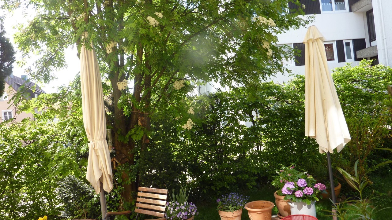 Photo of Outdoor in Freudenstadt
