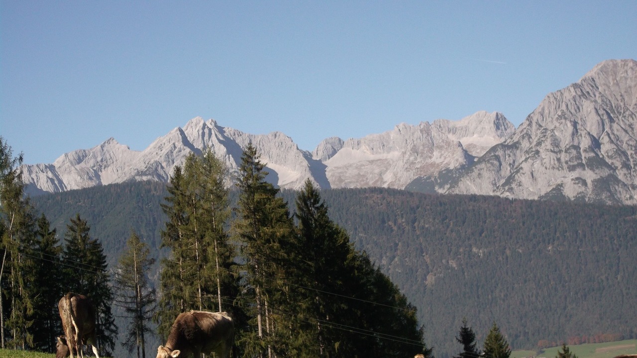 Photo of Outdoor in Kolsassberg