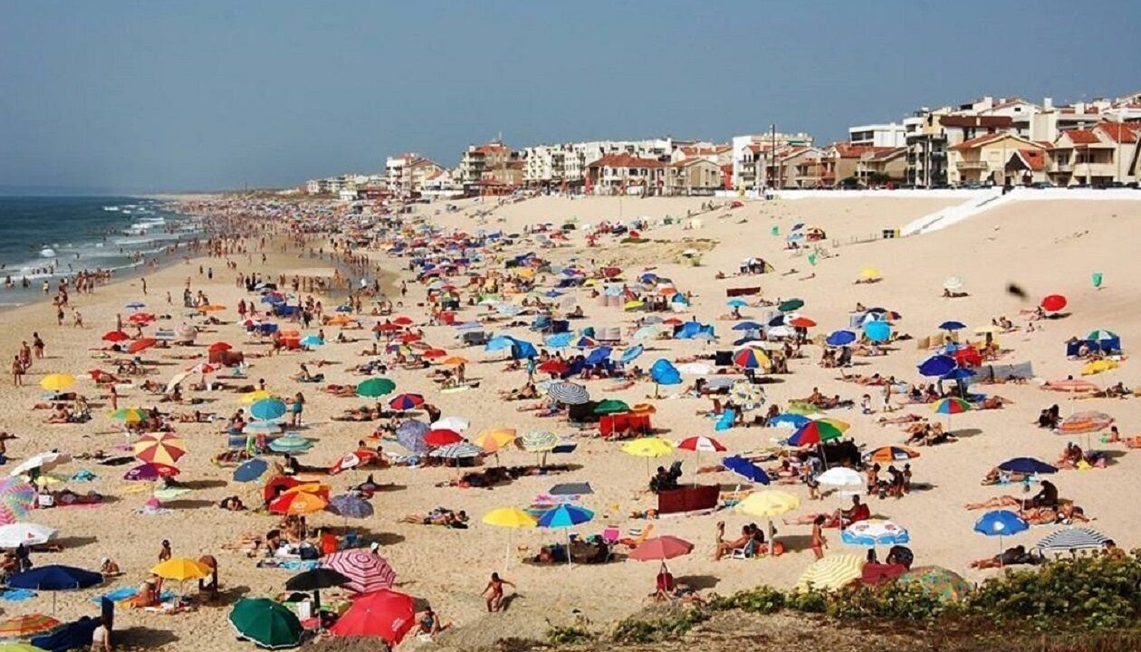 Photo of Others in Pedrogao