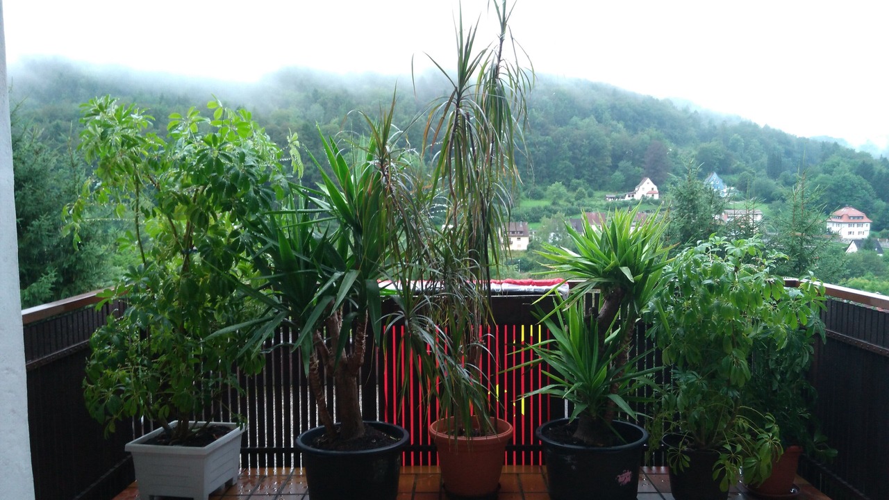 Photo of Outdoor in Egloffstein