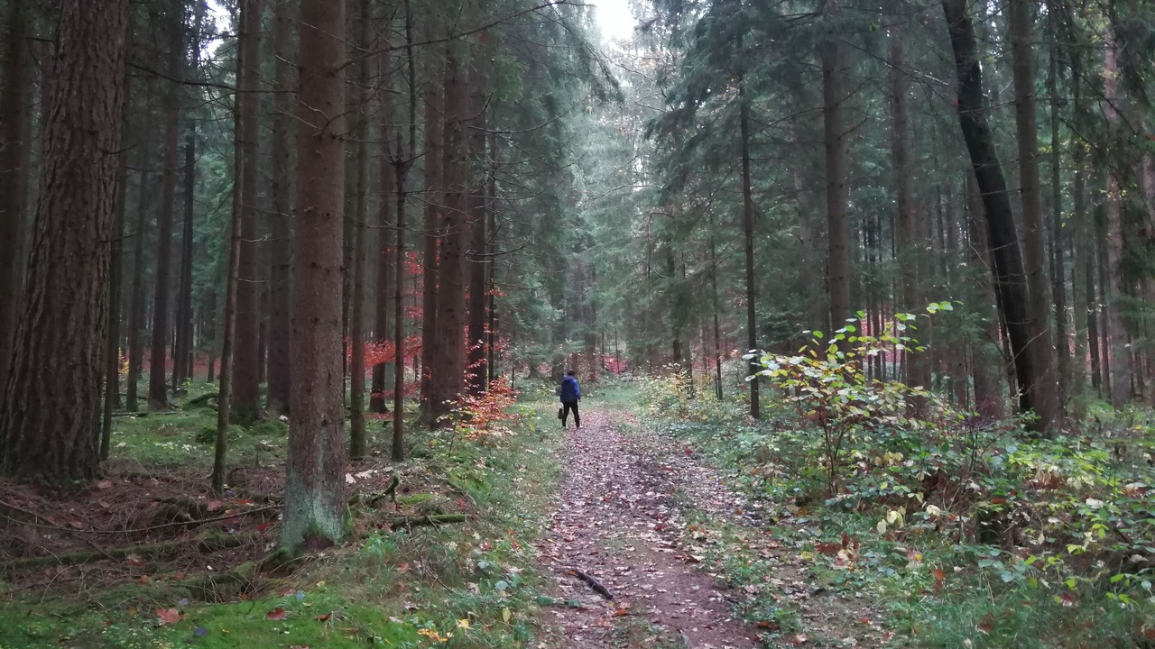 Photo of Outdoor in Egloffstein