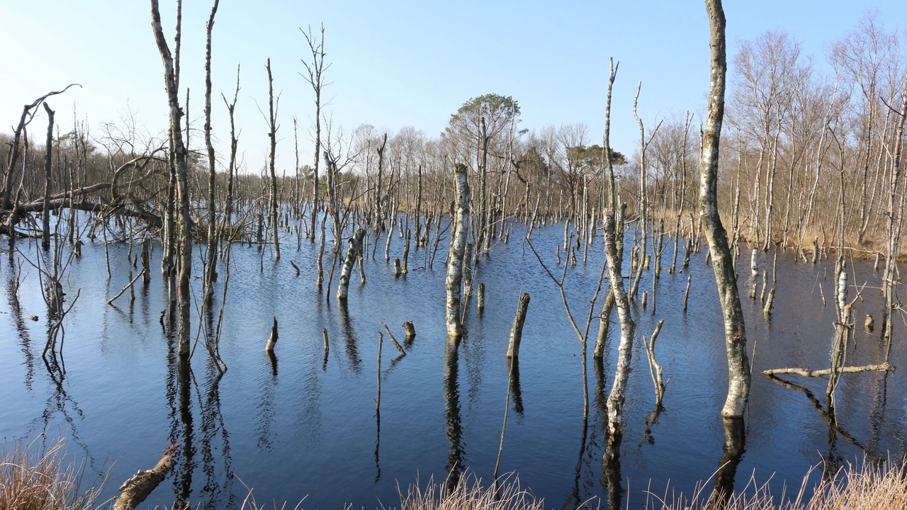 Photo of Outdoor in Edewecht