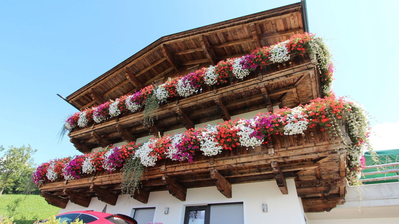Photo of Others in Distelberg