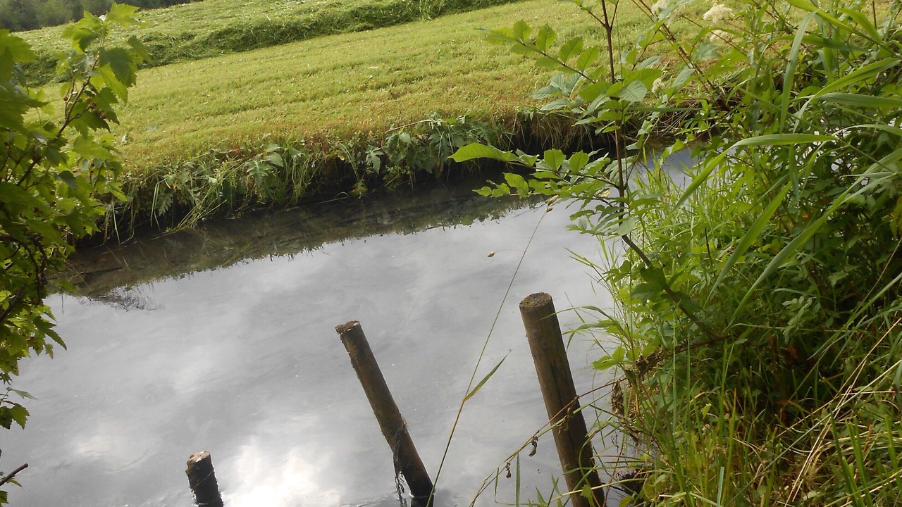 Photo of Outdoor in Fischen im Allgaeu