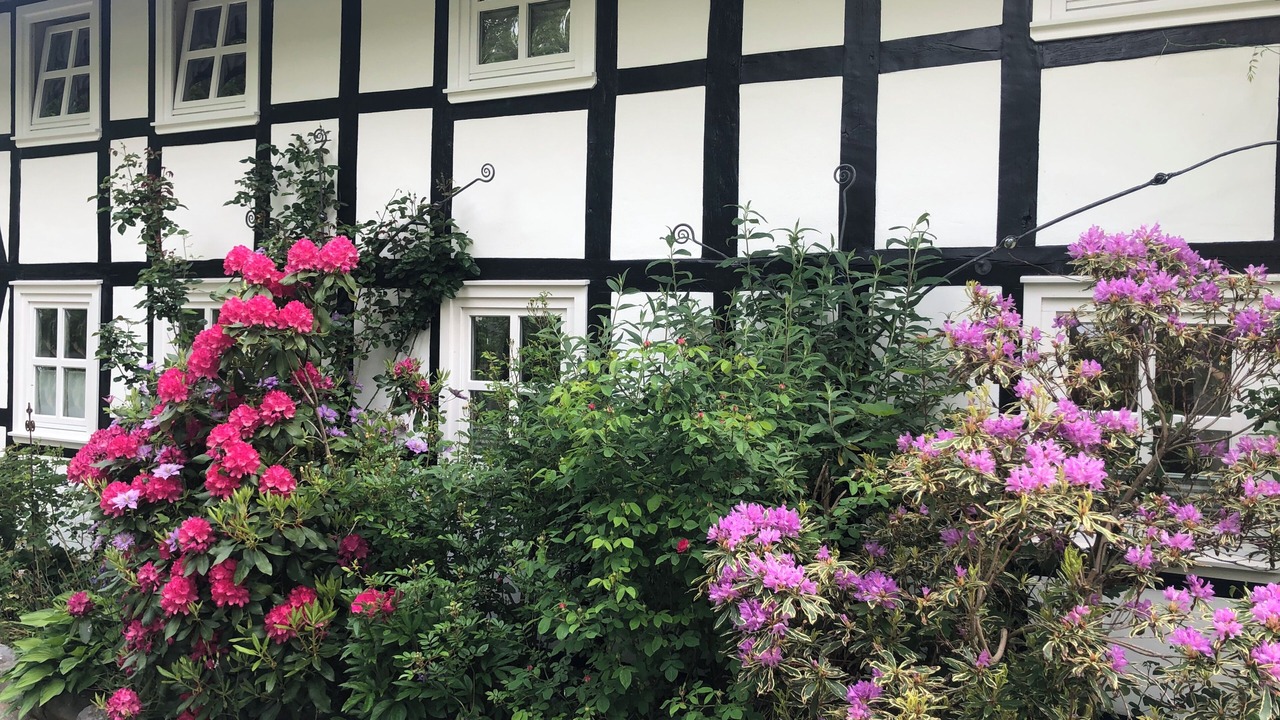 Photo of Outdoor in Olsberg