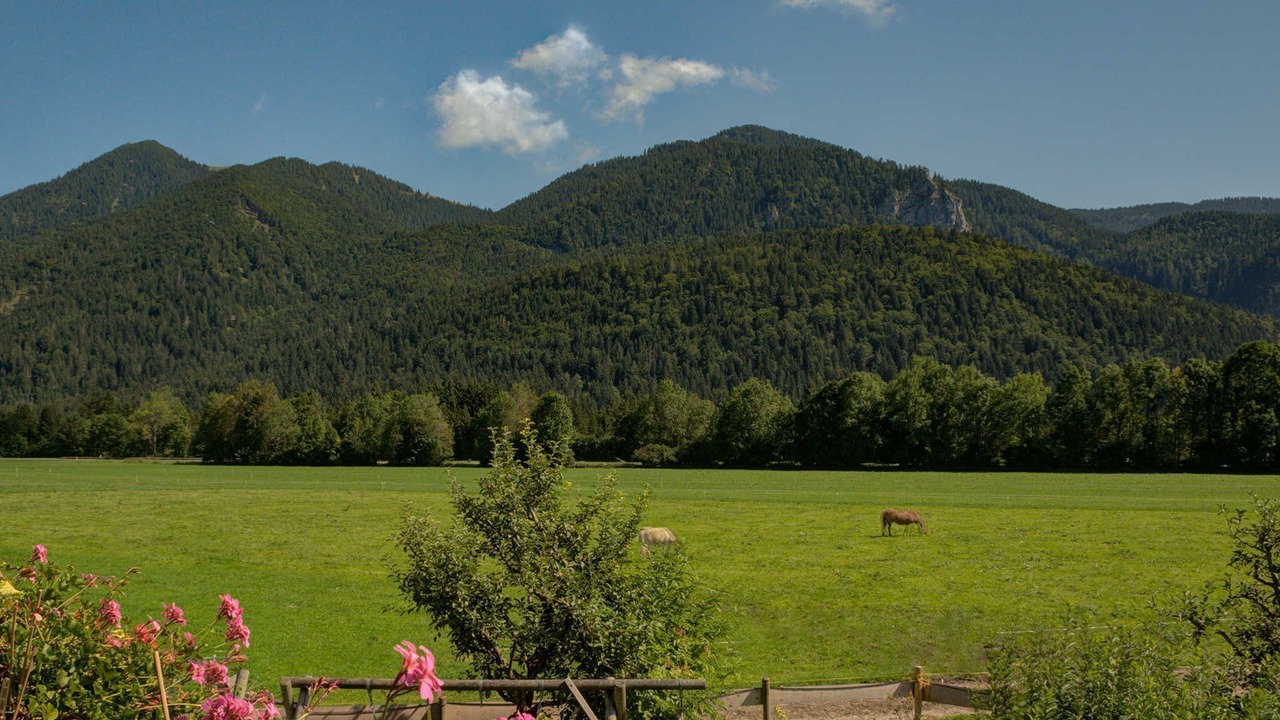Photo of Others in Kreuth