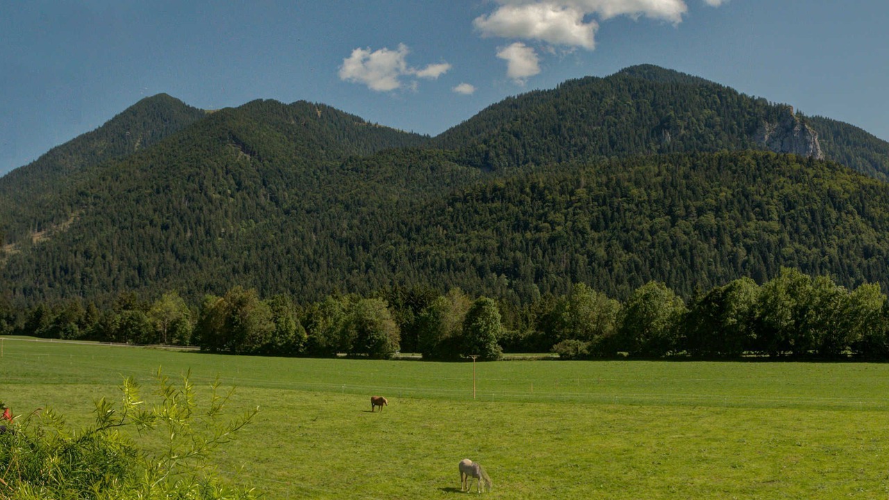 Photo of Others in Kreuth