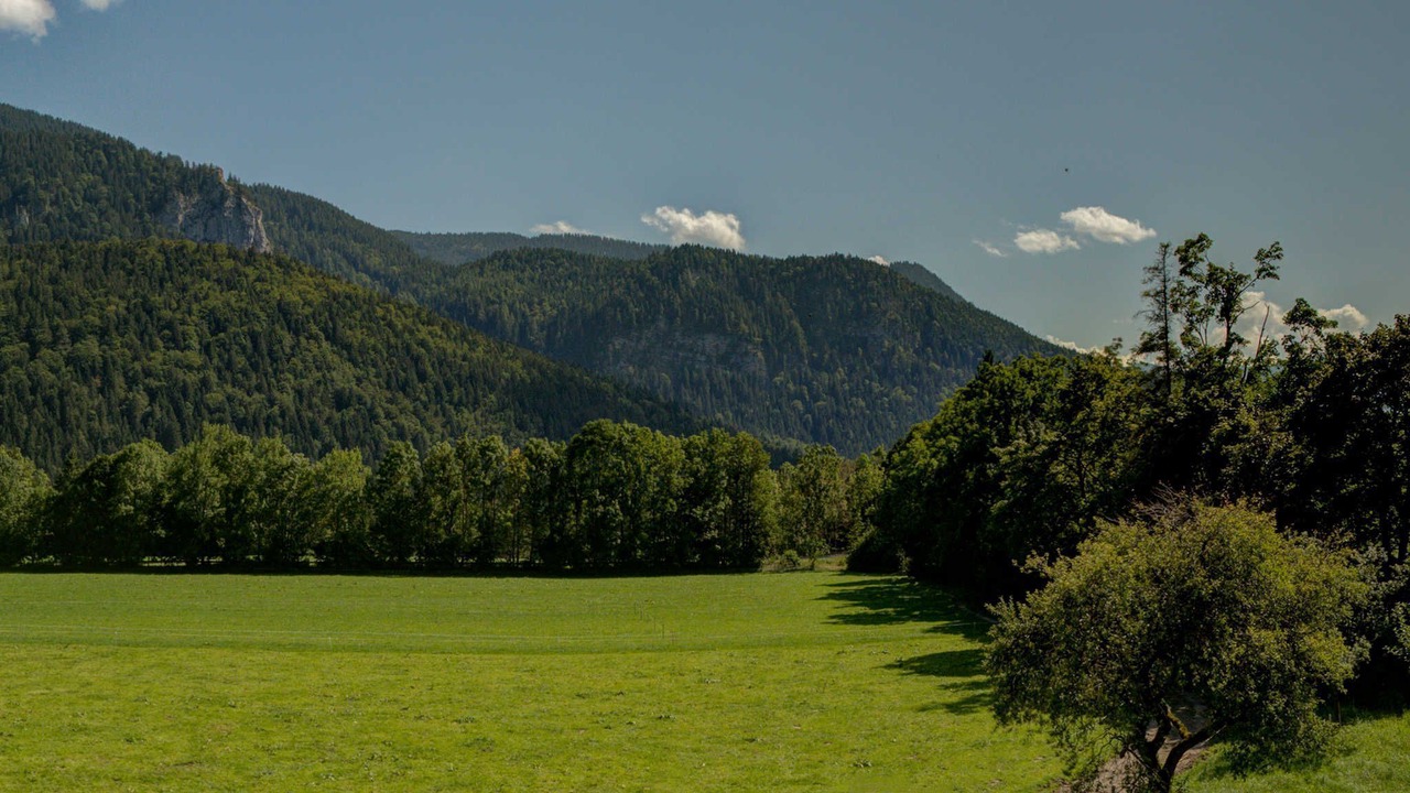 Photo of Others in Kreuth