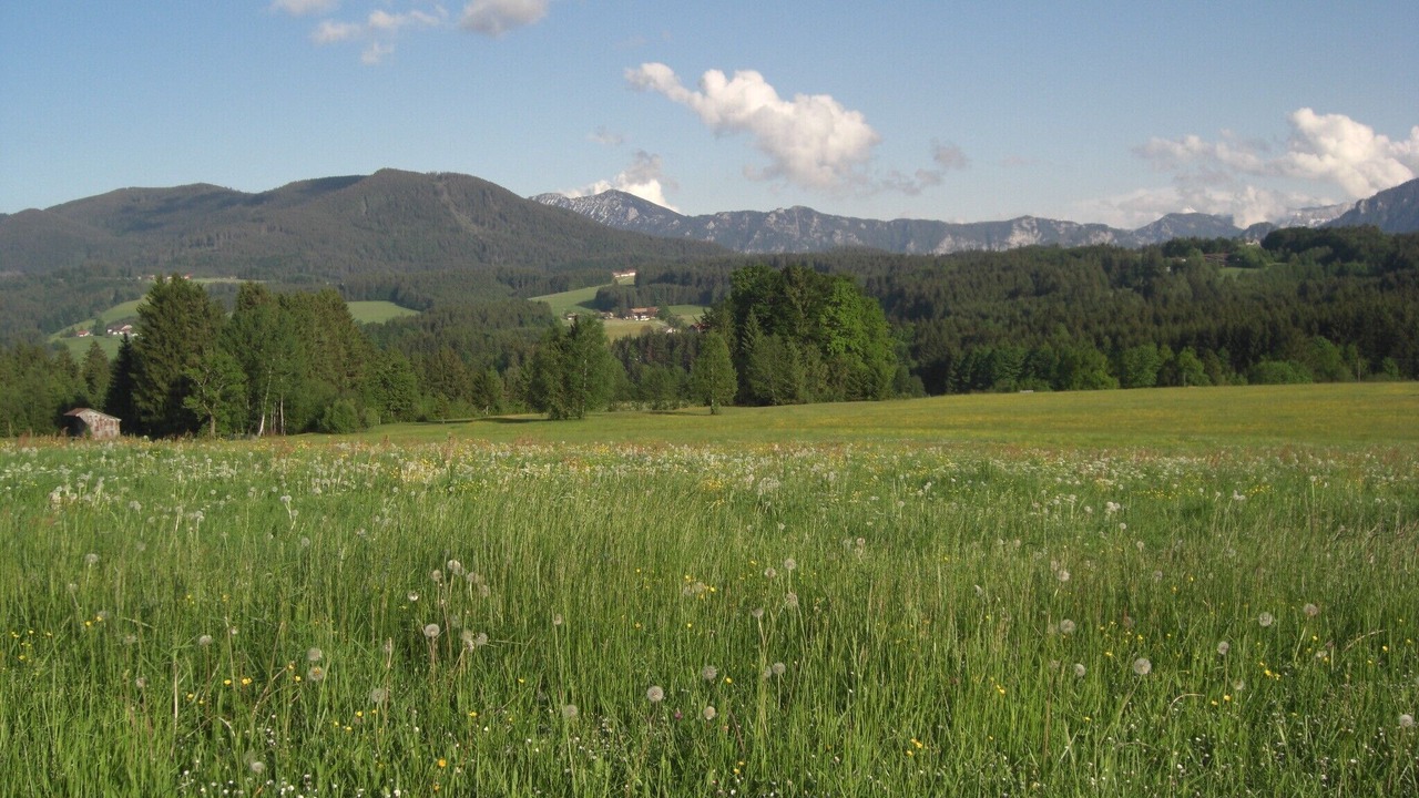 Photo of Others in Feichten