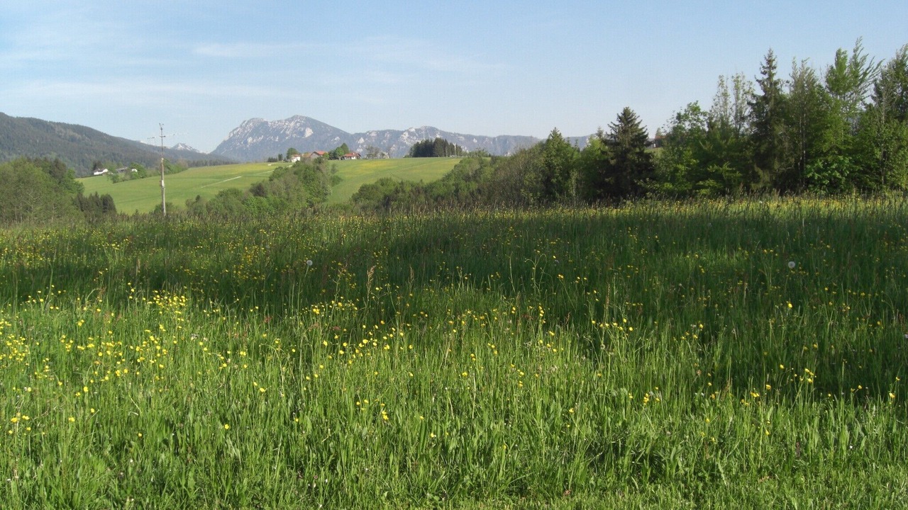 Photo of Outdoor in Feichten