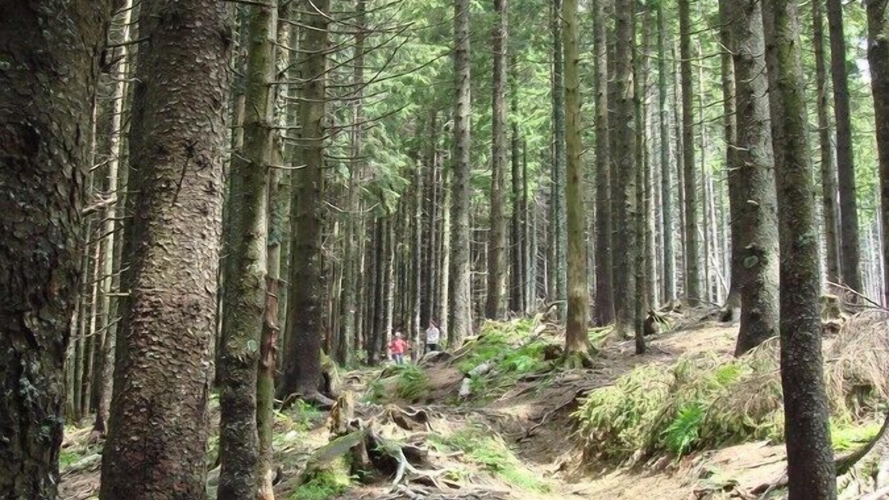 Photo of Outdoor in Feichten