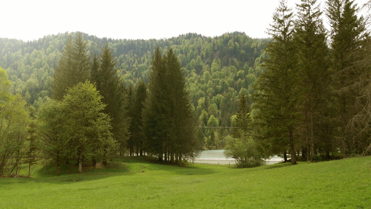 Photo of Outdoor in Kochel am See
