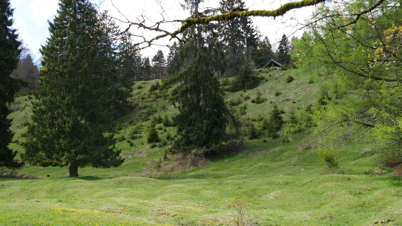 Photo of Outdoor in Kochel am See
