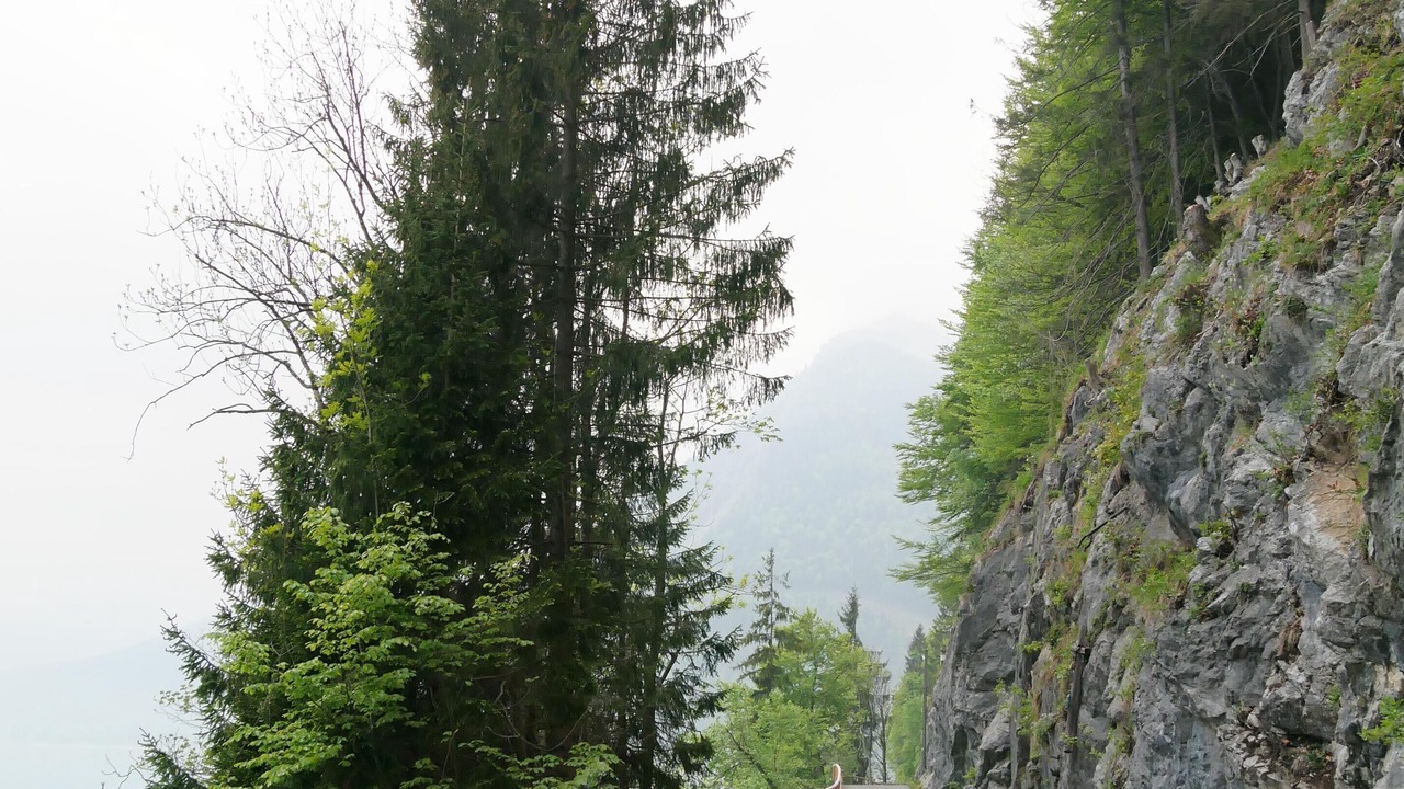 Photo of Outdoor in Kochel am See