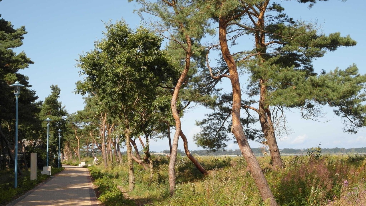 Photo of Outdoor in Juliusruh