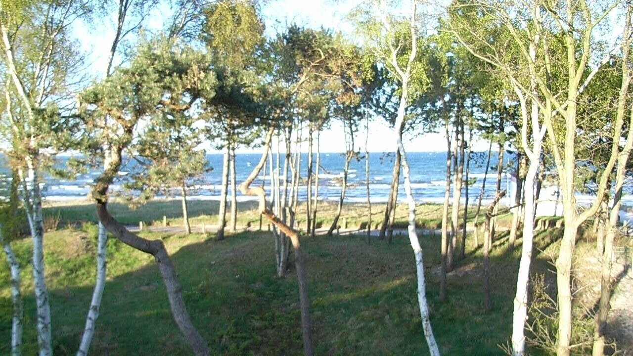 Photo of Others in Juliusruh