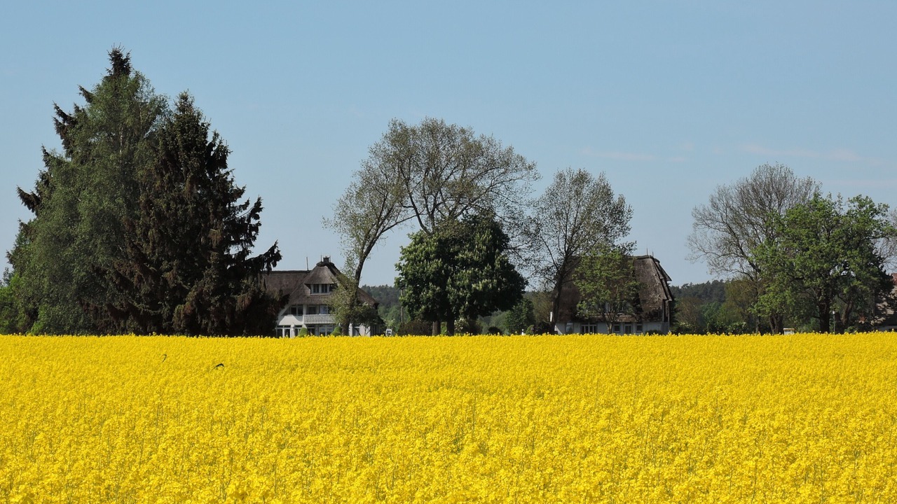 Photo of Outdoor in Stolpe auf Usedom