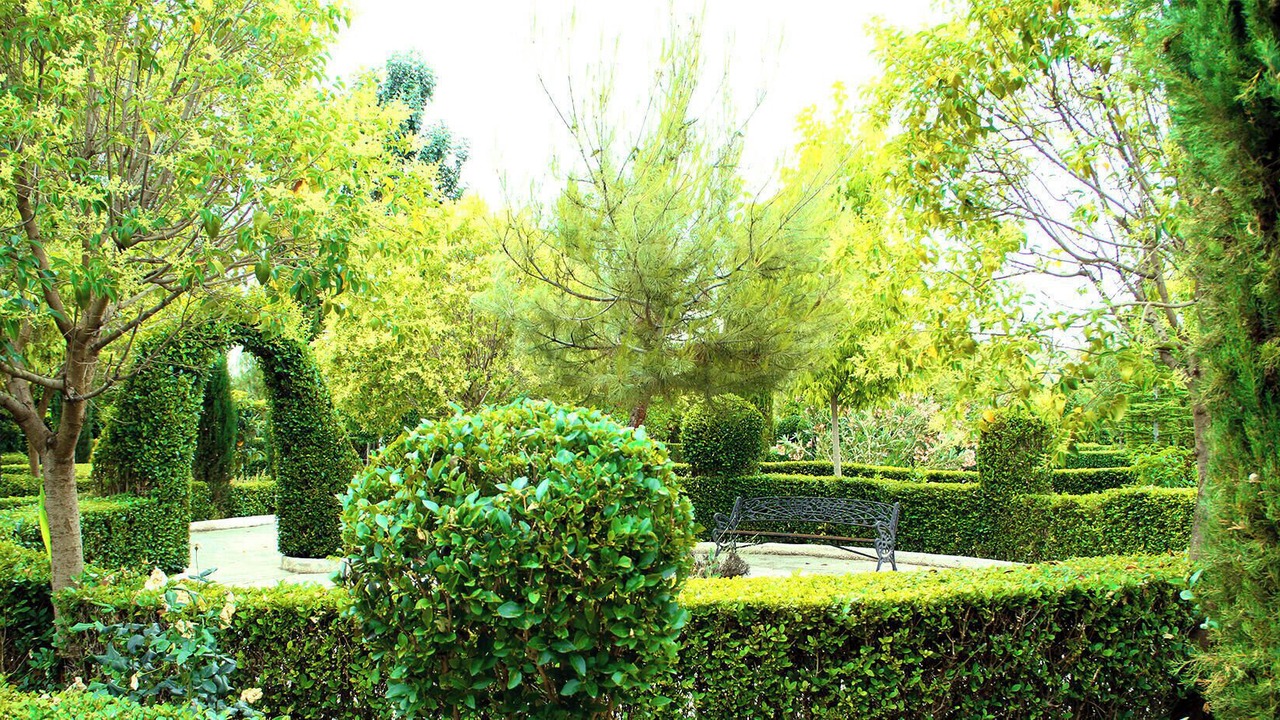 Photo of Outdoor in La Alqueria