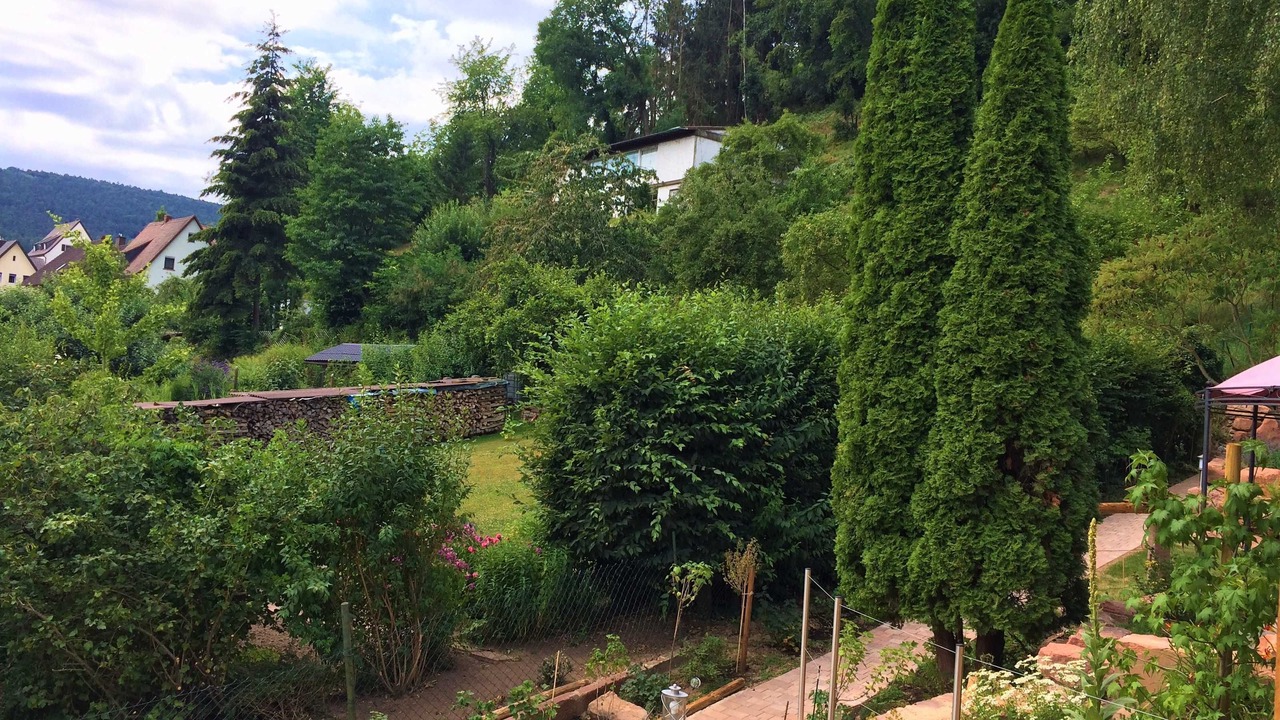 Photo of Outdoor in Laudenbach